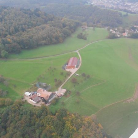 Gîte A l'Orée des Biches Sainte-Marie-aux-Mines Exterior foto