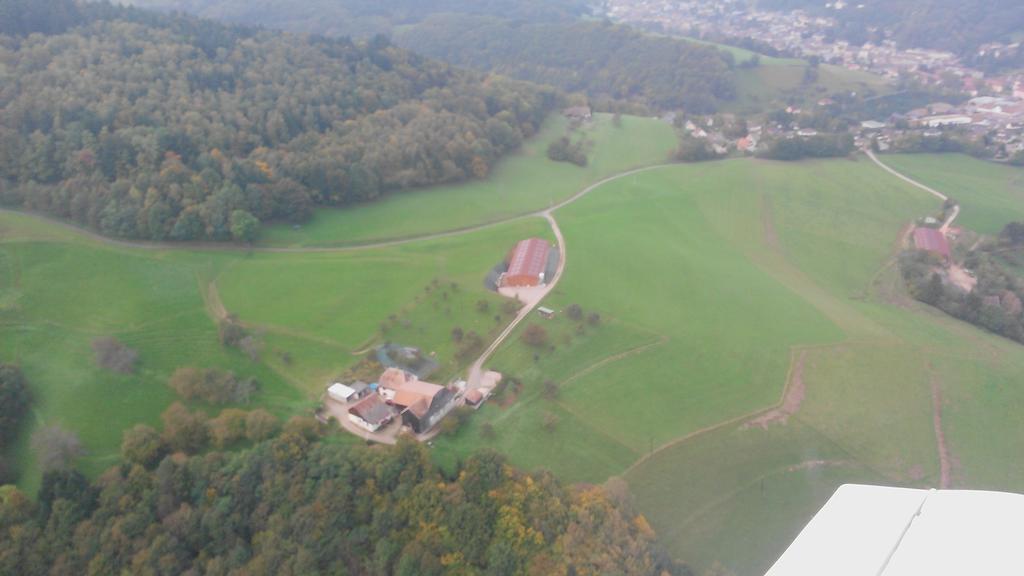 Gîte A l'Orée des Biches Sainte-Marie-aux-Mines Exterior foto